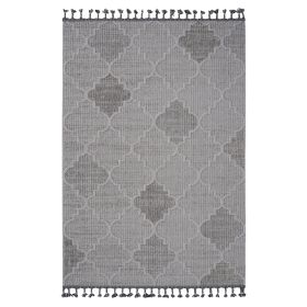 4X6 White/Grey /Trellis Indoor/Outdoor Area Rug